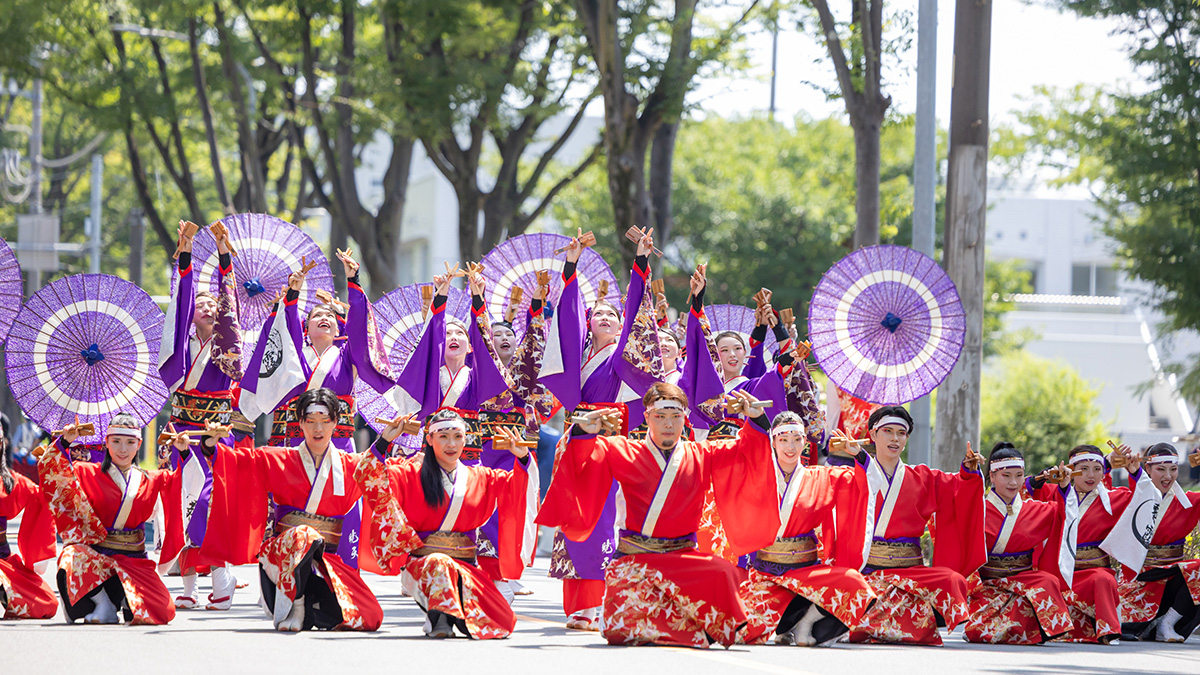彩夏祭 関八州よさこいフェスタの写真